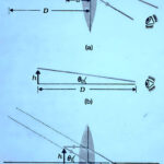 Function of simple and compound microscope