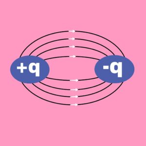 Electric force line and its properties physics