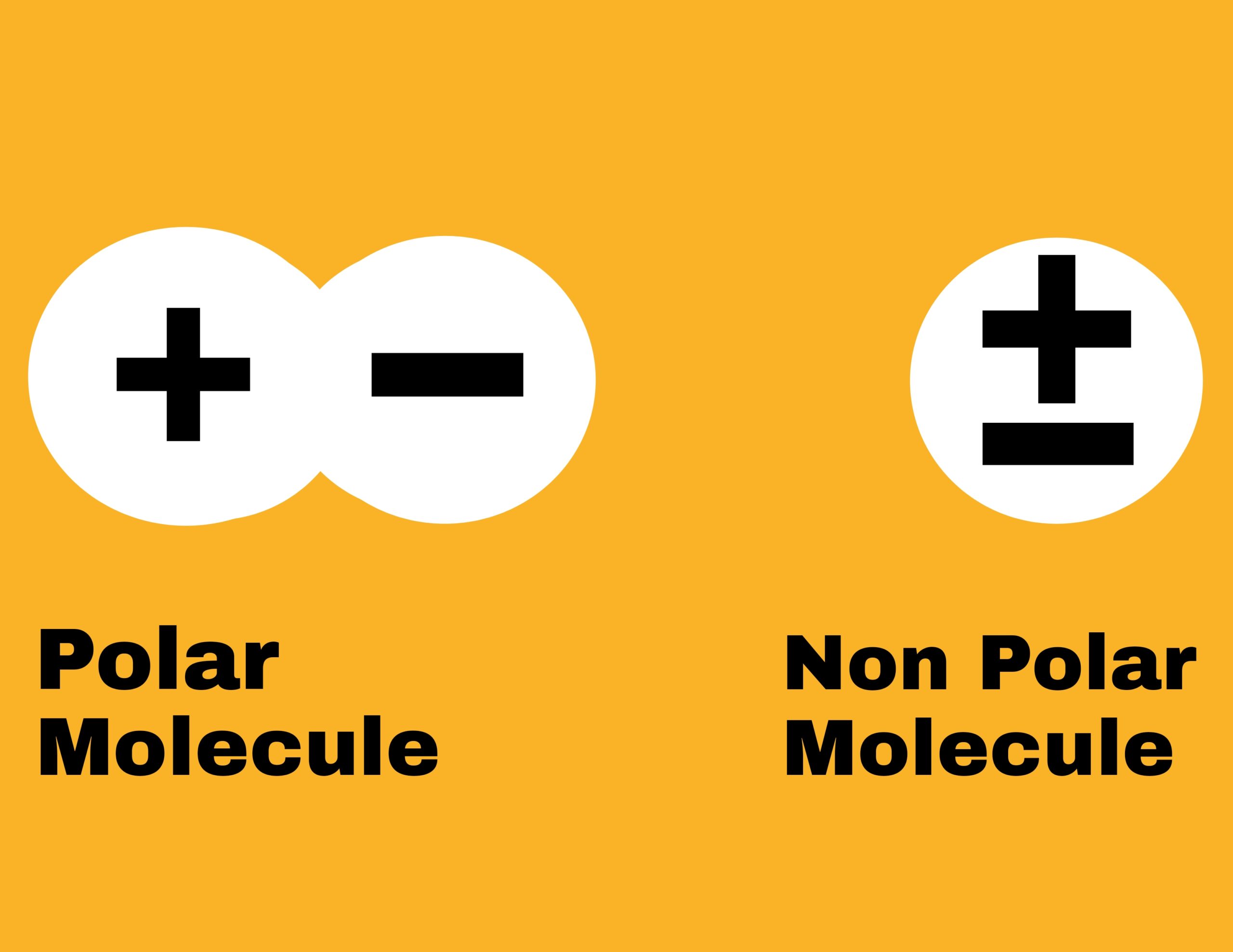 Polar and non polar molecules 